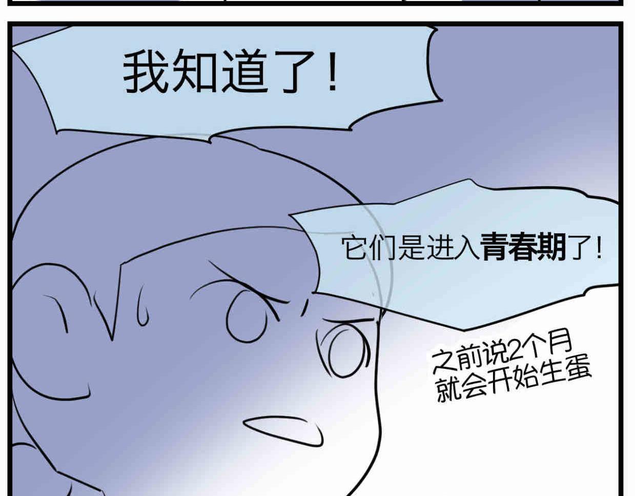 114.小鸡的死因-第114话