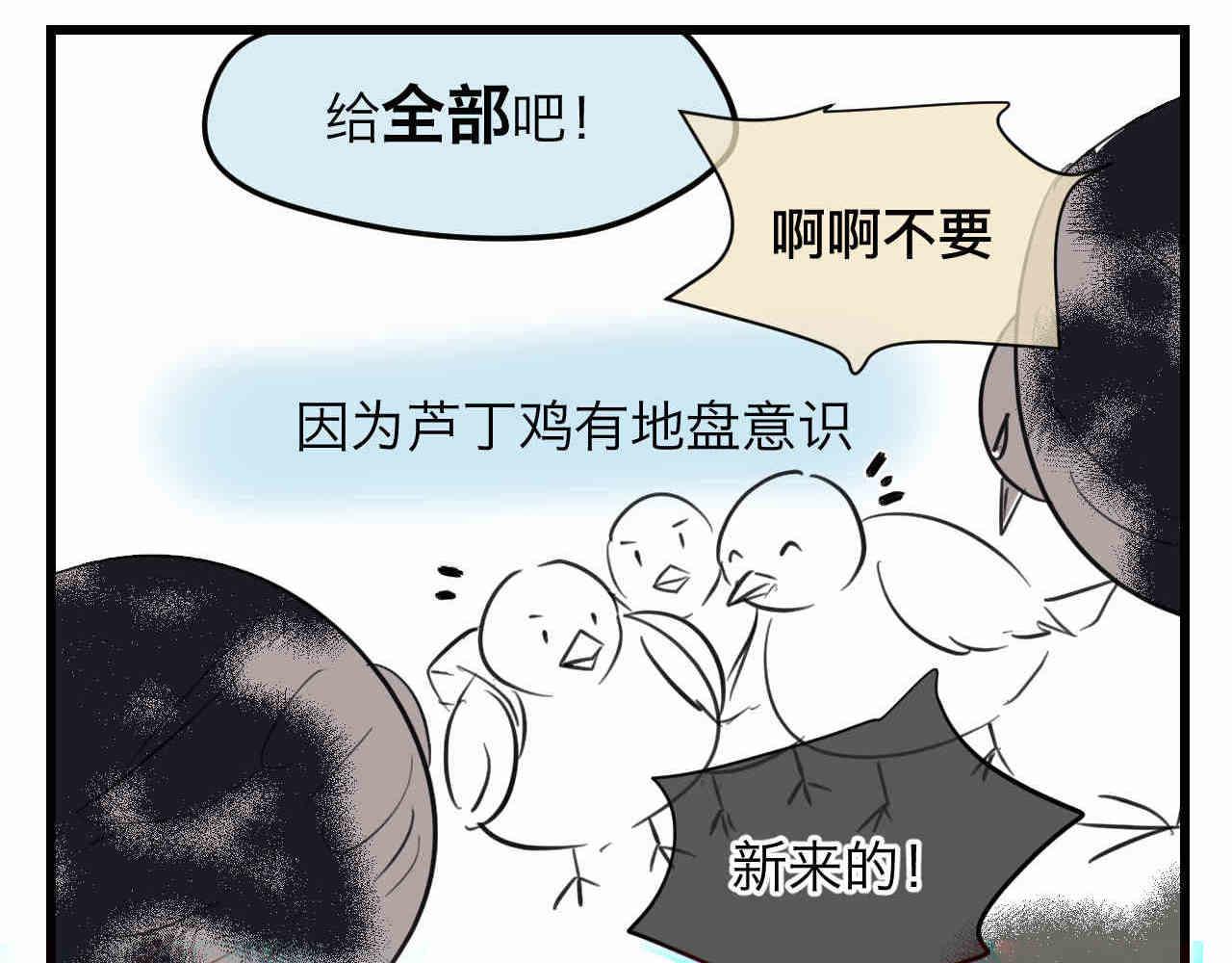 98.小鸡的重量-第98话