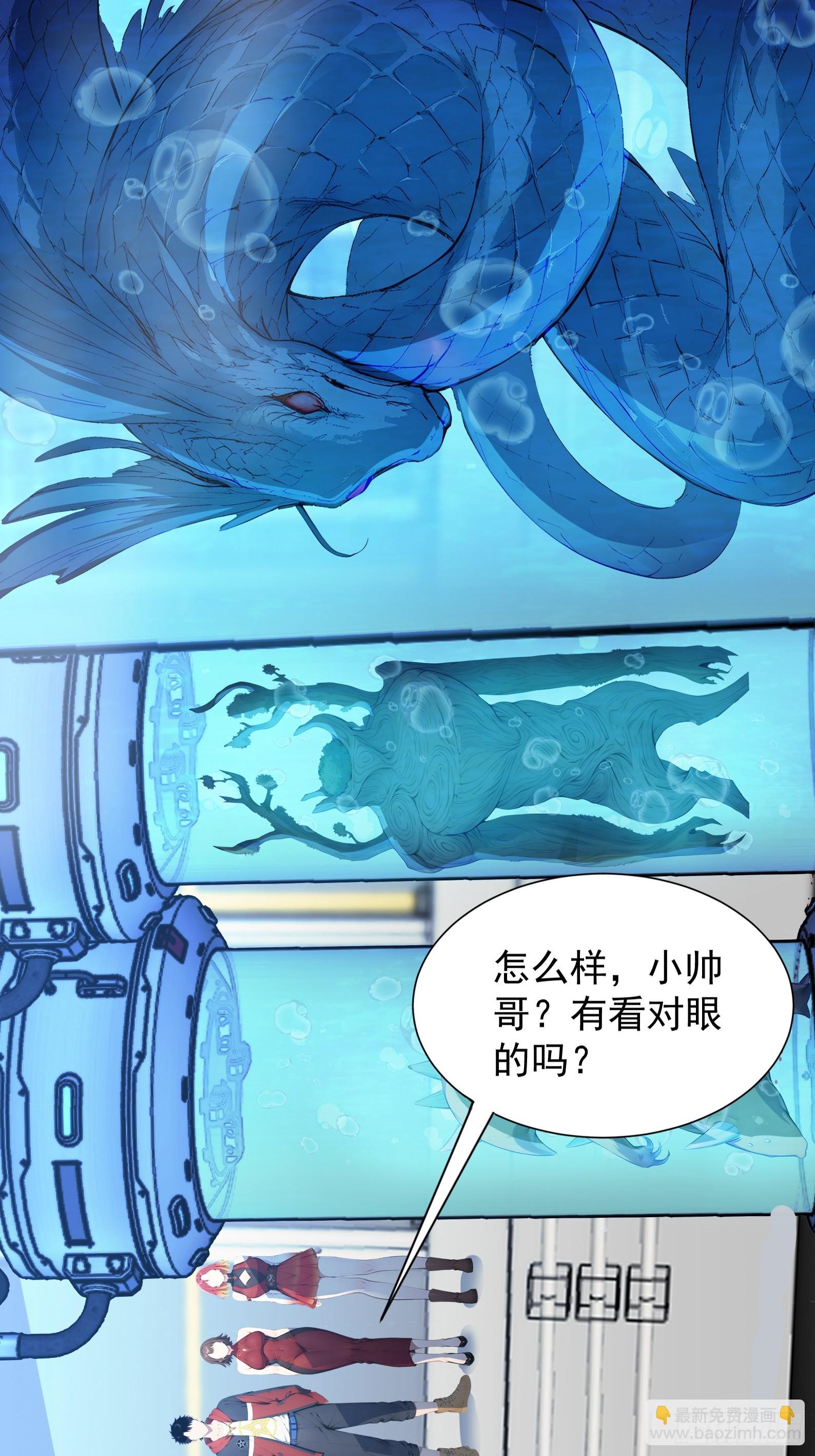 28 喵喵御兽商店(1/2)-第28话