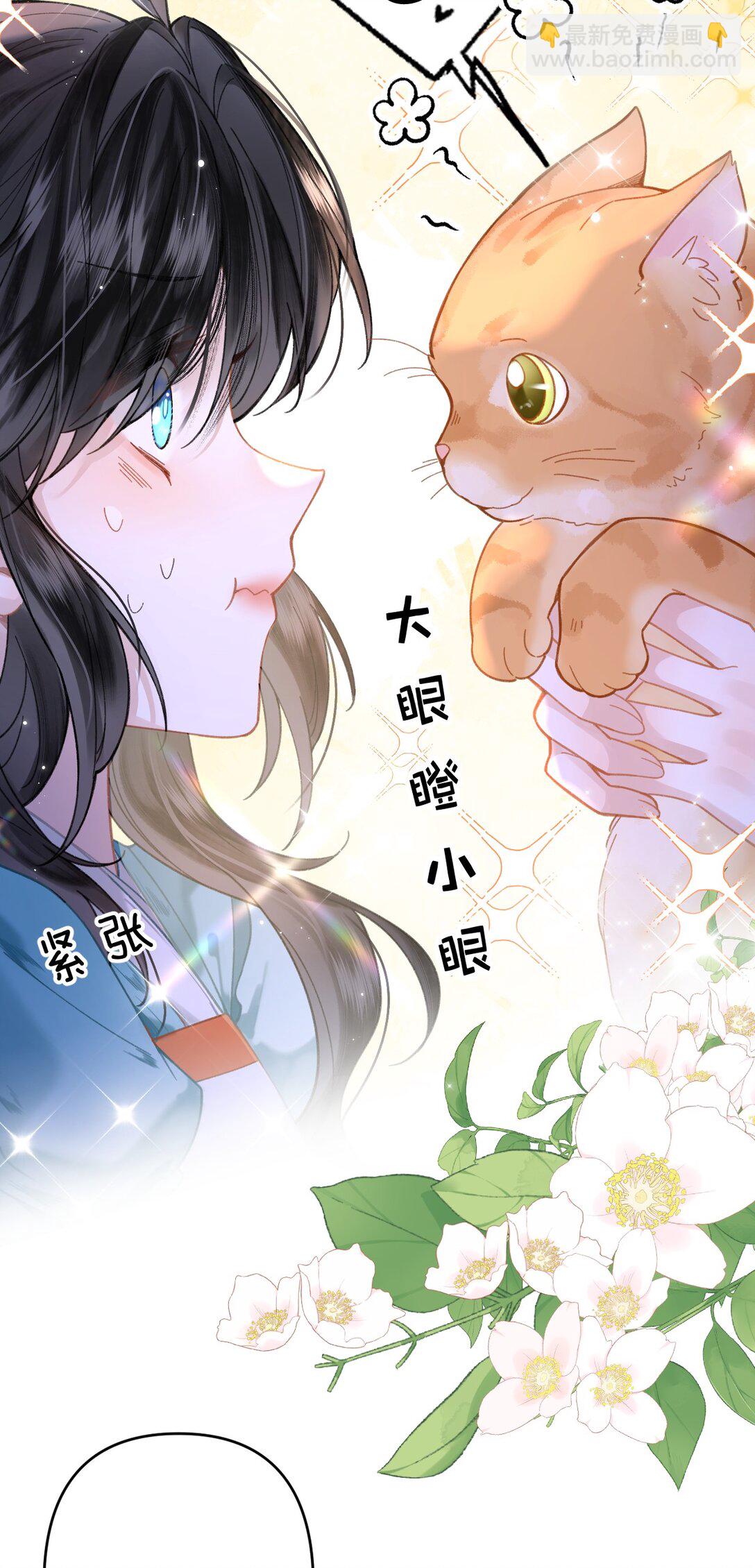 17 小人鱼的&ldquo;噩梦&rdquo;&mdash;&mdash;猫猫突击！-第20话
