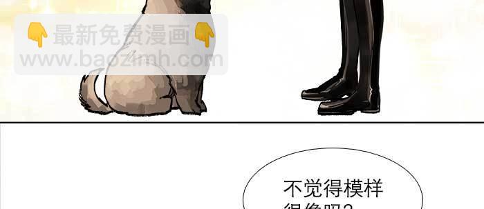 第五十话 那么换你来(1/3)-第54话