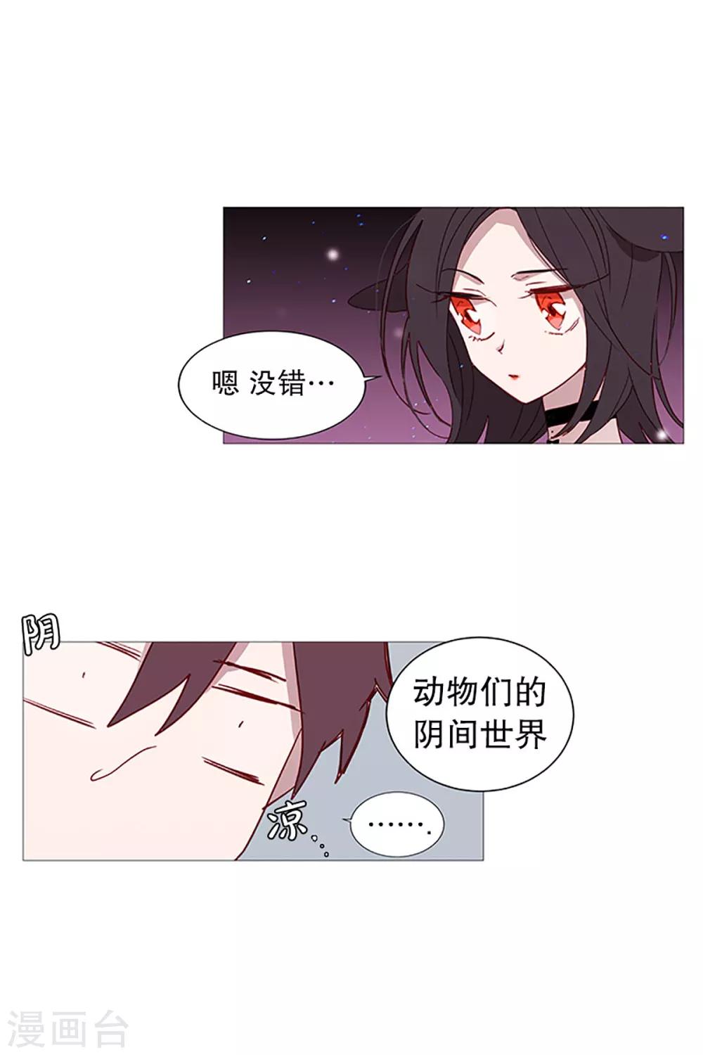 第16话 动物们的阴间-第16话