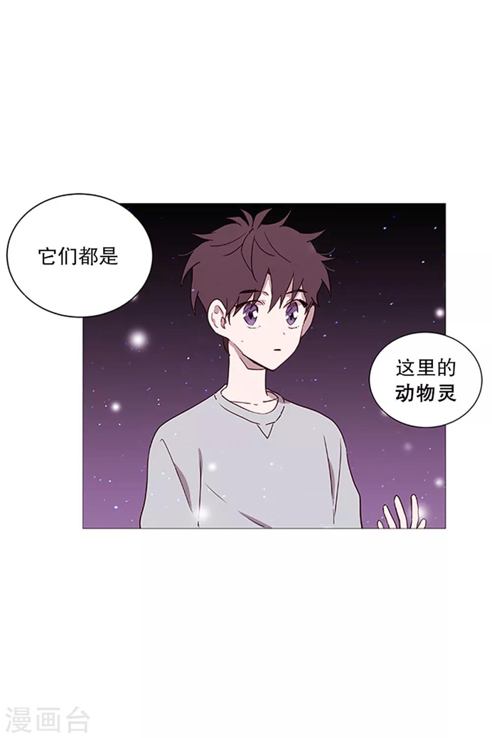 第16话 动物们的阴间-第16话