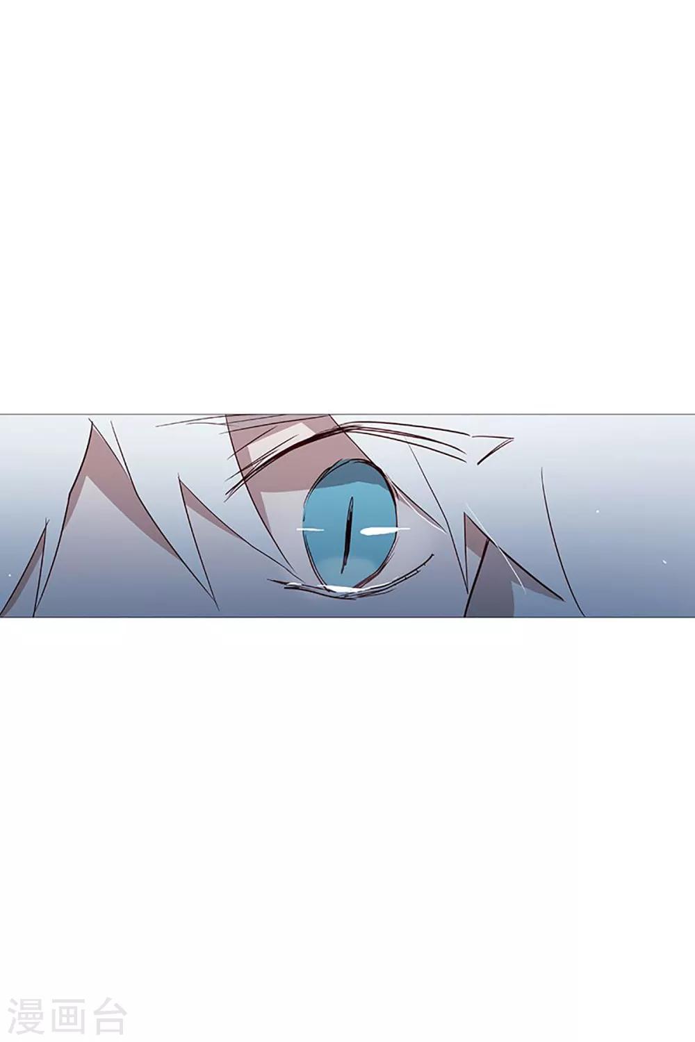 第20话 盘算-第20话