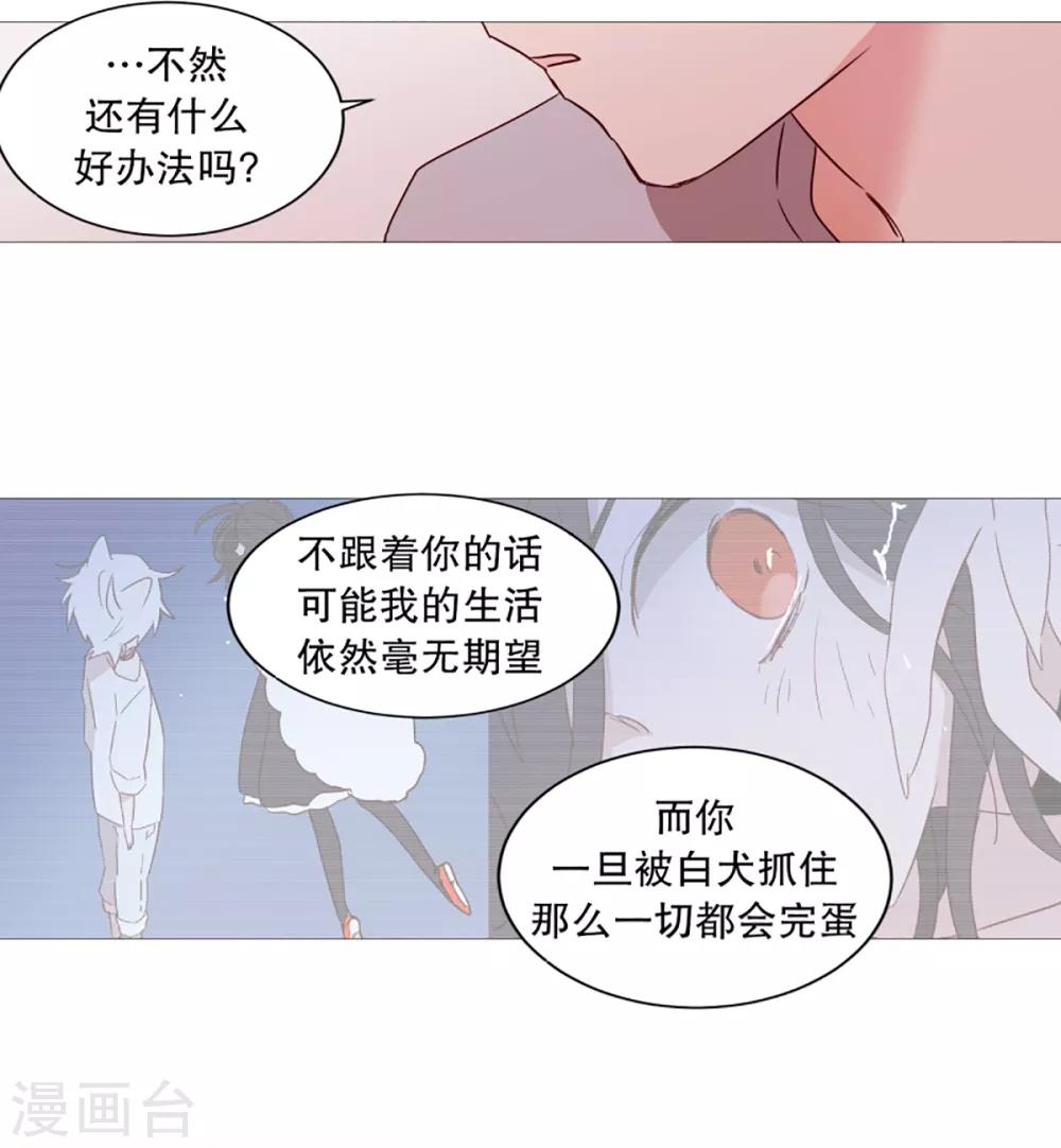 第34话 以后的打算-第34话