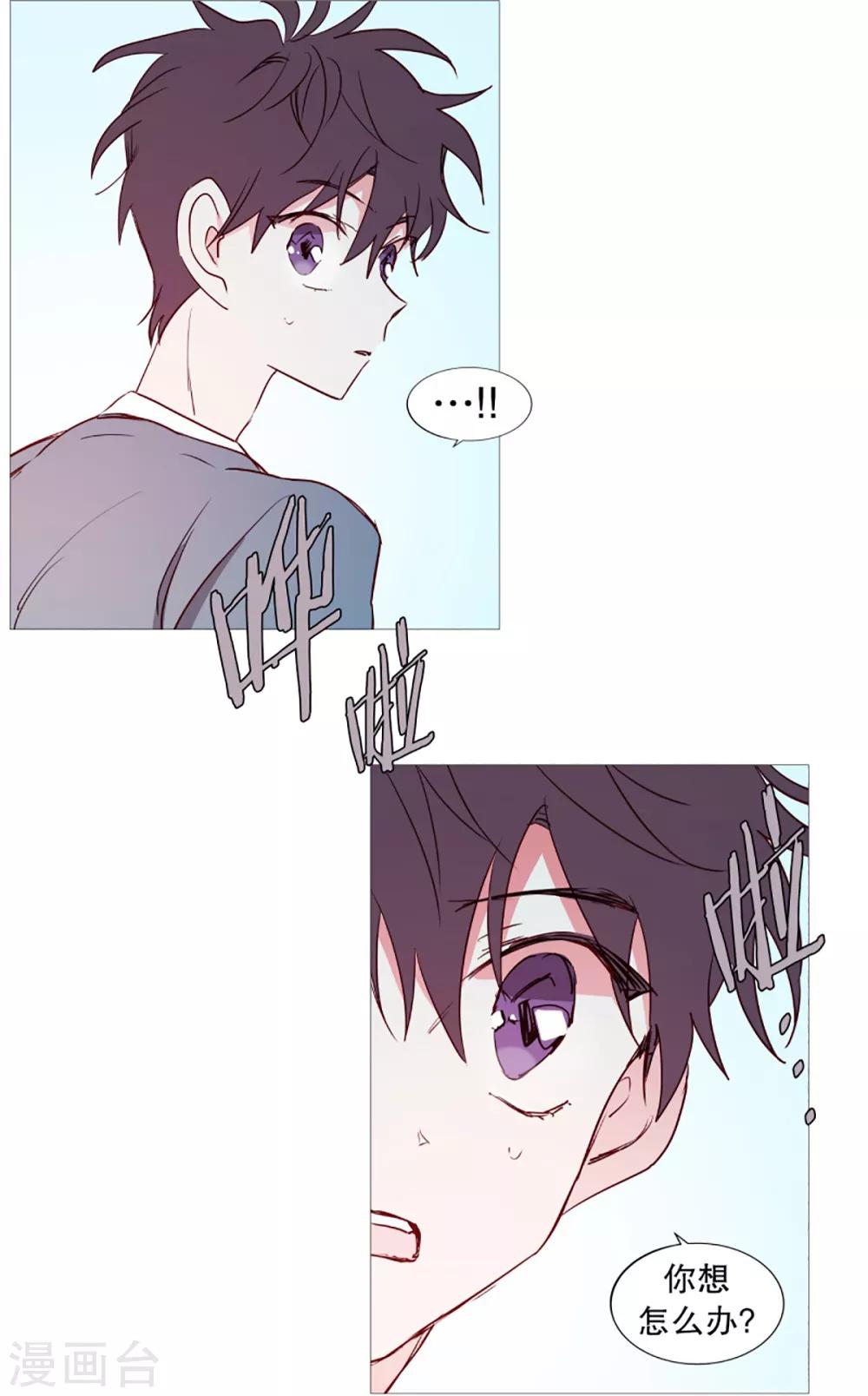 第40话 小鸡灵的选择1-第40话