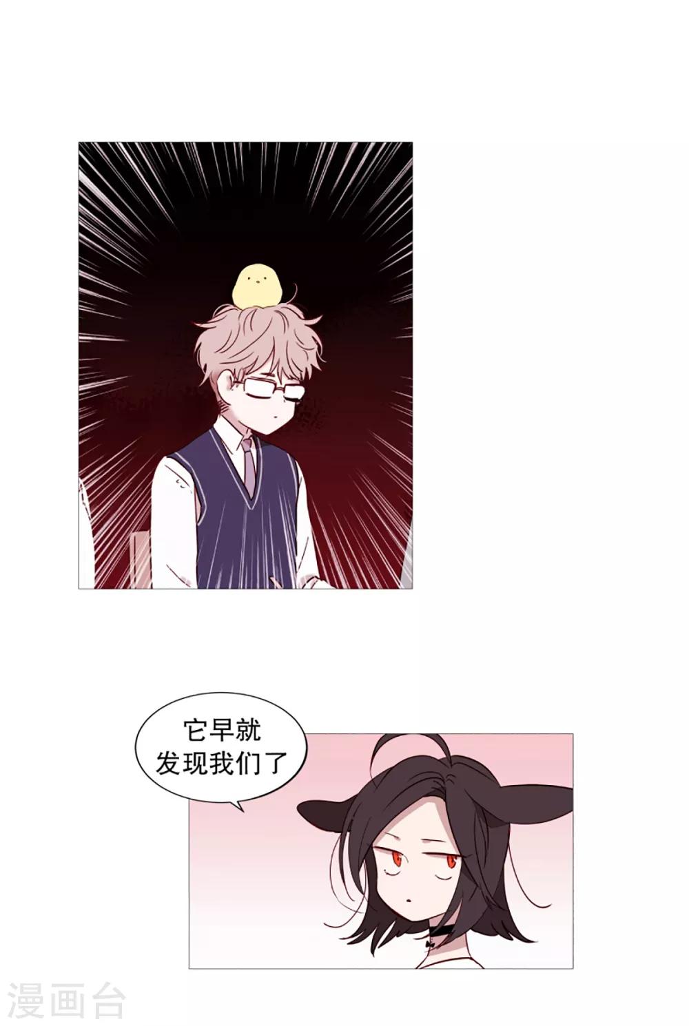 第40话 小鸡灵的选择1-第40话
