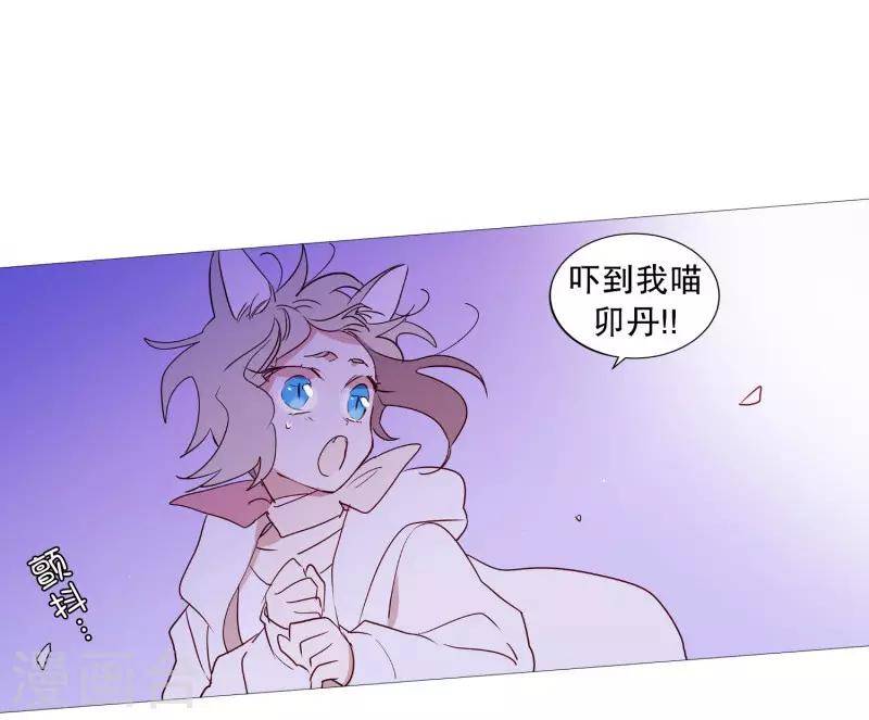 第90话 猫兔大战-第90话
