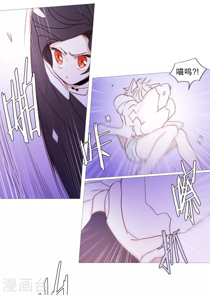 第90话 猫兔大战-第90话