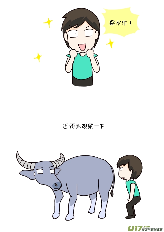 大水牛-第286话