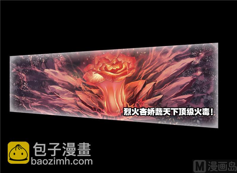 🍼斗罗大陆 第241话 森罗万象（1） 第3页