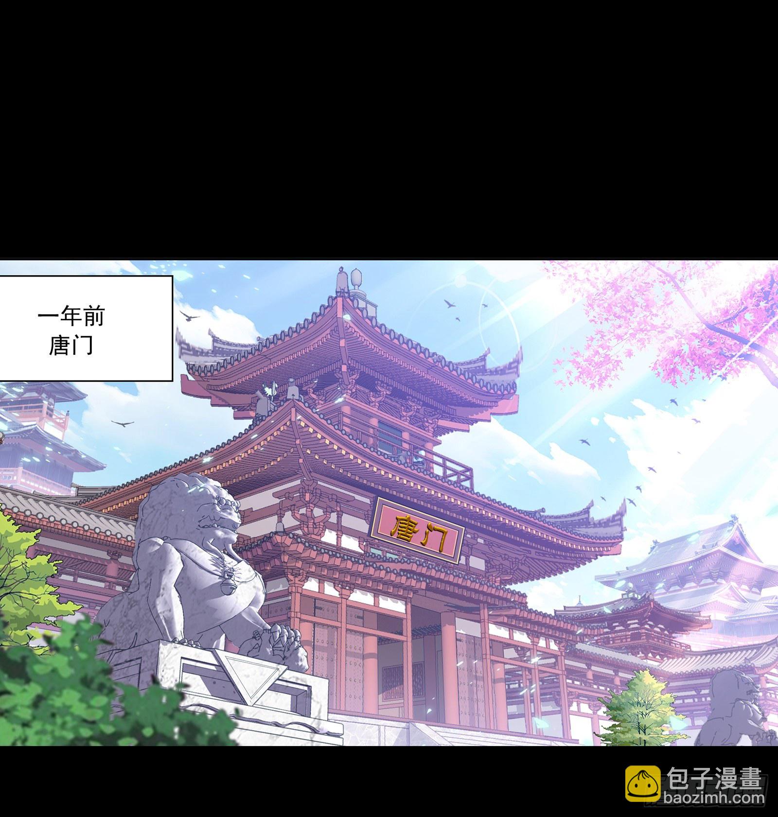 🍼斗罗大陆 第296话 暴雨梨花针（1） 第2页