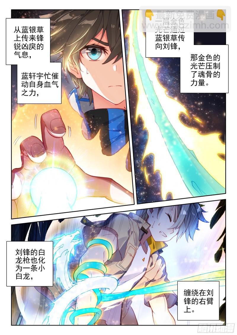 🍼斗罗大陆4终极斗罗 魂骨 第13页