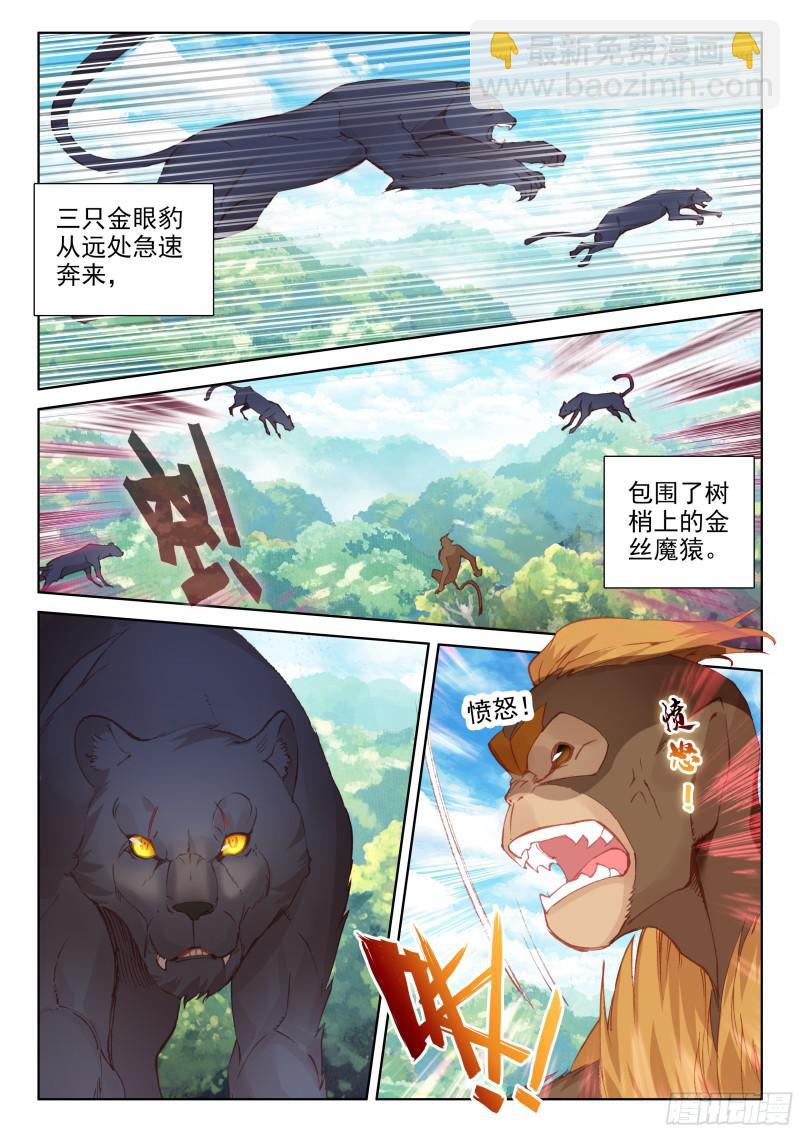 🍼斗罗大陆4终极斗罗 金眼豹头部魂骨 第2页