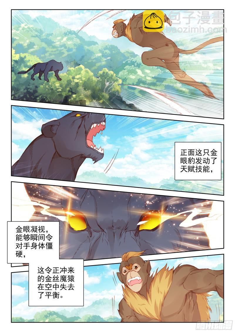 🍼斗罗大陆4终极斗罗 金眼豹头部魂骨 第3页