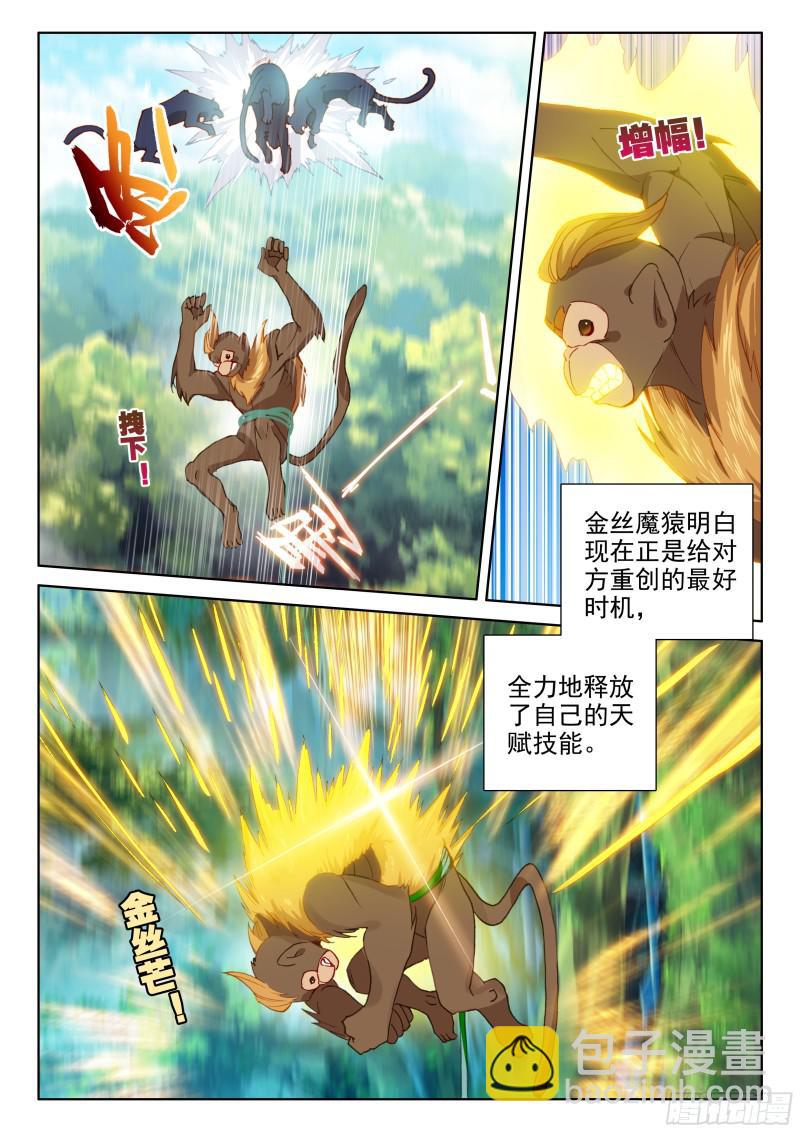 🍼斗罗大陆4终极斗罗 金眼豹头部魂骨 第5页