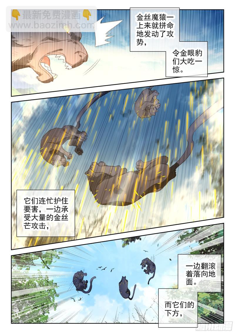 🍼斗罗大陆4终极斗罗 金眼豹头部魂骨 第6页