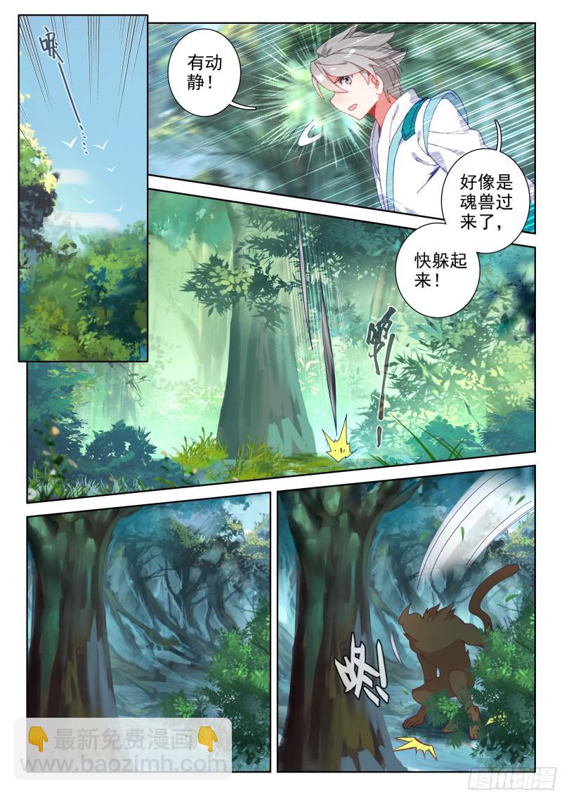 🍼斗罗大陆4终极斗罗 蓝轩宇的抉择！ 第11页
