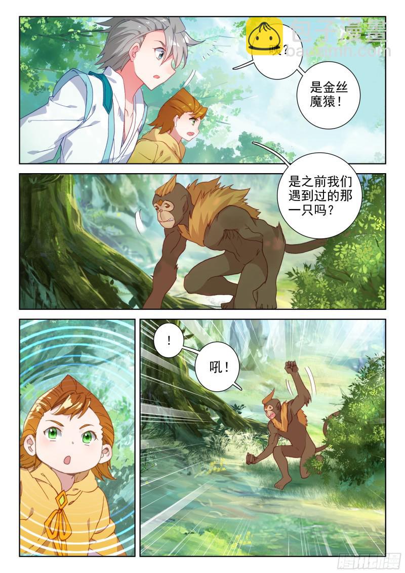 🍼斗罗大陆4终极斗罗 蓝轩宇的抉择！ 第12页