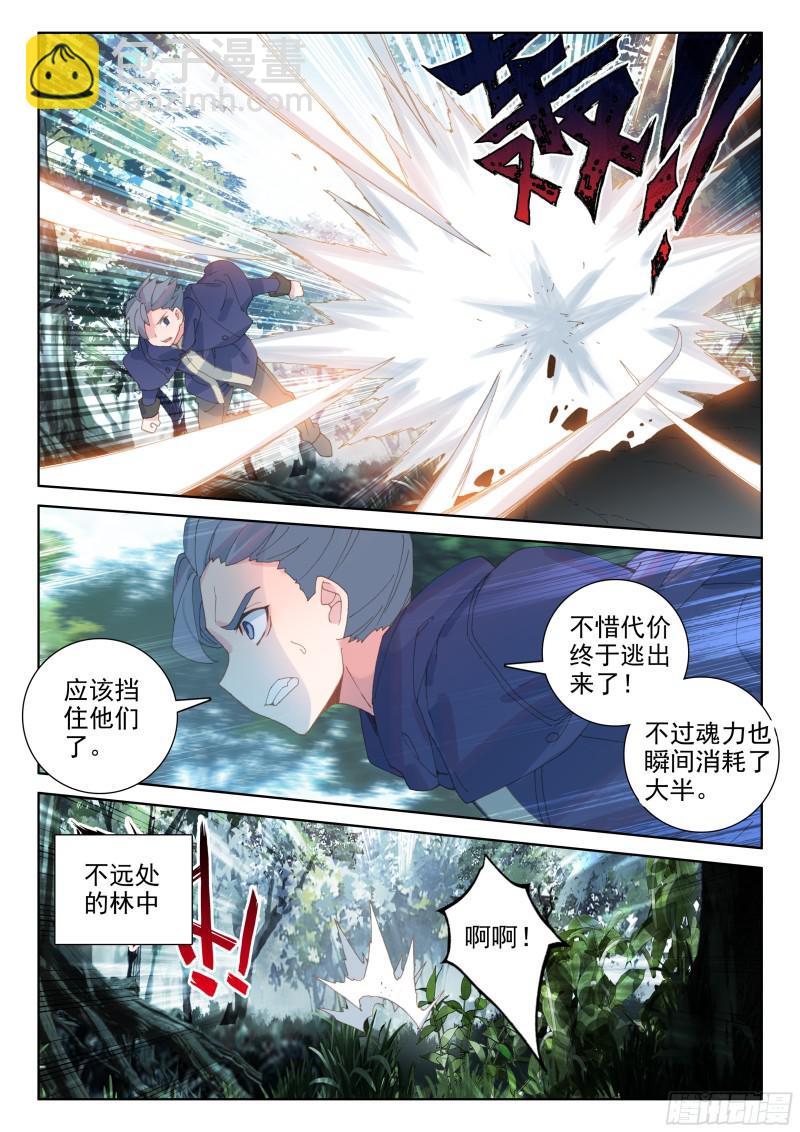 🍼斗罗大陆4终极斗罗 四环！ 第13页