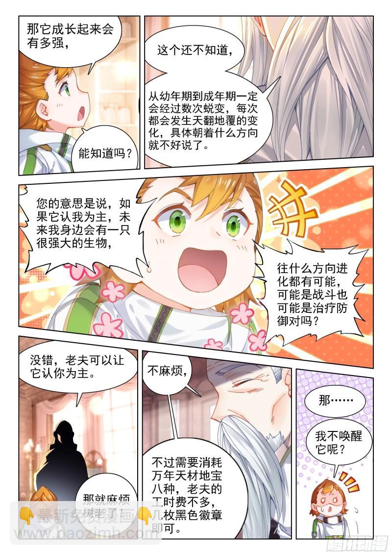 🍼斗罗大陆4终极斗罗 无价之宝 第10页
