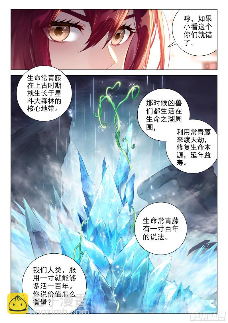🍼斗罗大陆4终极斗罗 无价之宝 第4页