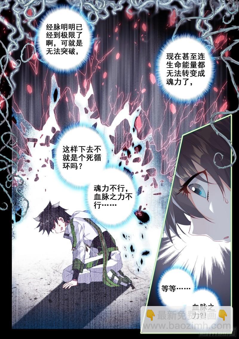 🍼斗罗大陆4终极斗罗 三环！ 第10页