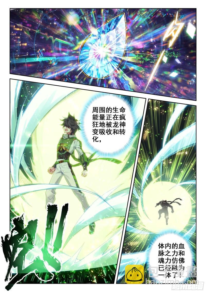 🍼斗罗大陆4终极斗罗 三环！ 第12页