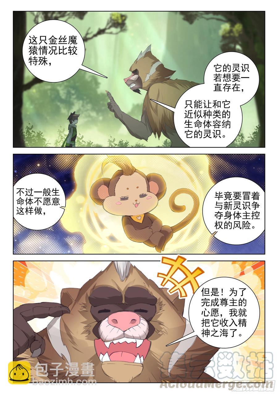🍼斗罗大陆4终极斗罗 金刚之力 第7页