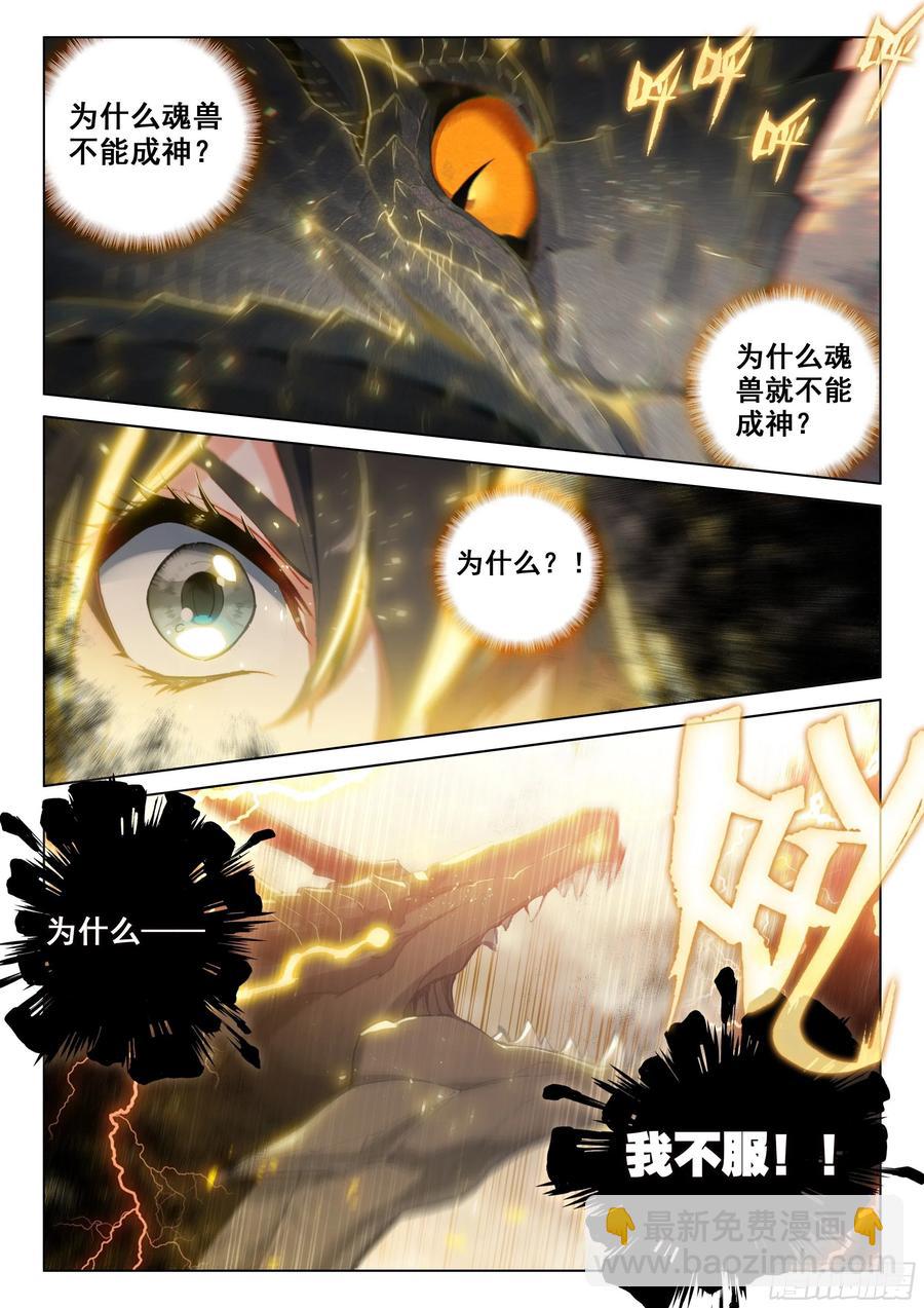 🍼斗罗大陆4终极斗罗 兽神渡劫 第12页