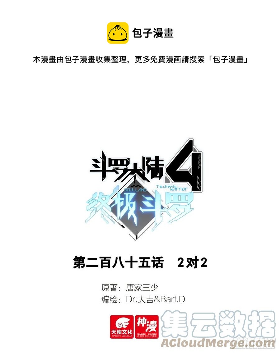 🍼斗罗大陆4终极斗罗 2对2 第1页