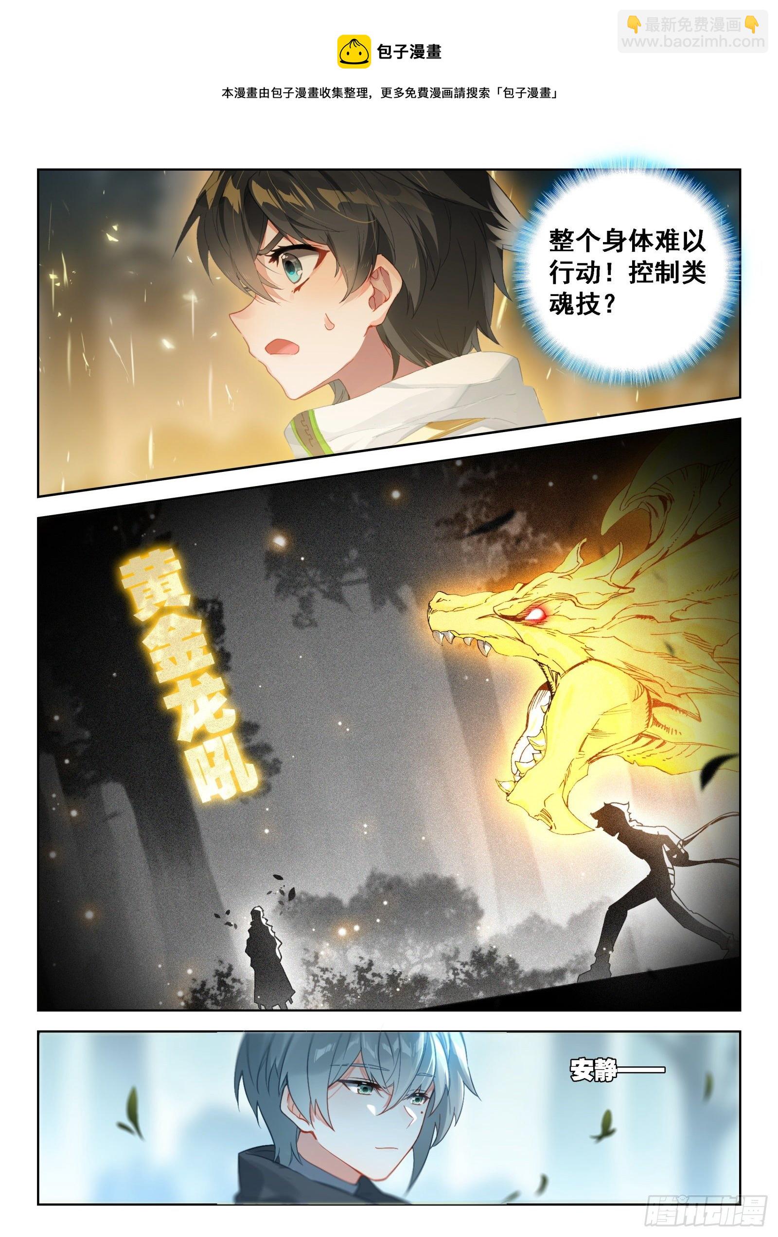 🍼斗罗大陆4终极斗罗 大师兄 第13页