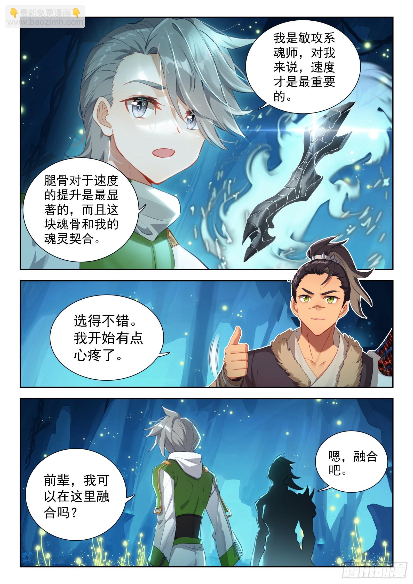 🍼斗罗大陆4终极斗罗 挑选魂骨 第8页