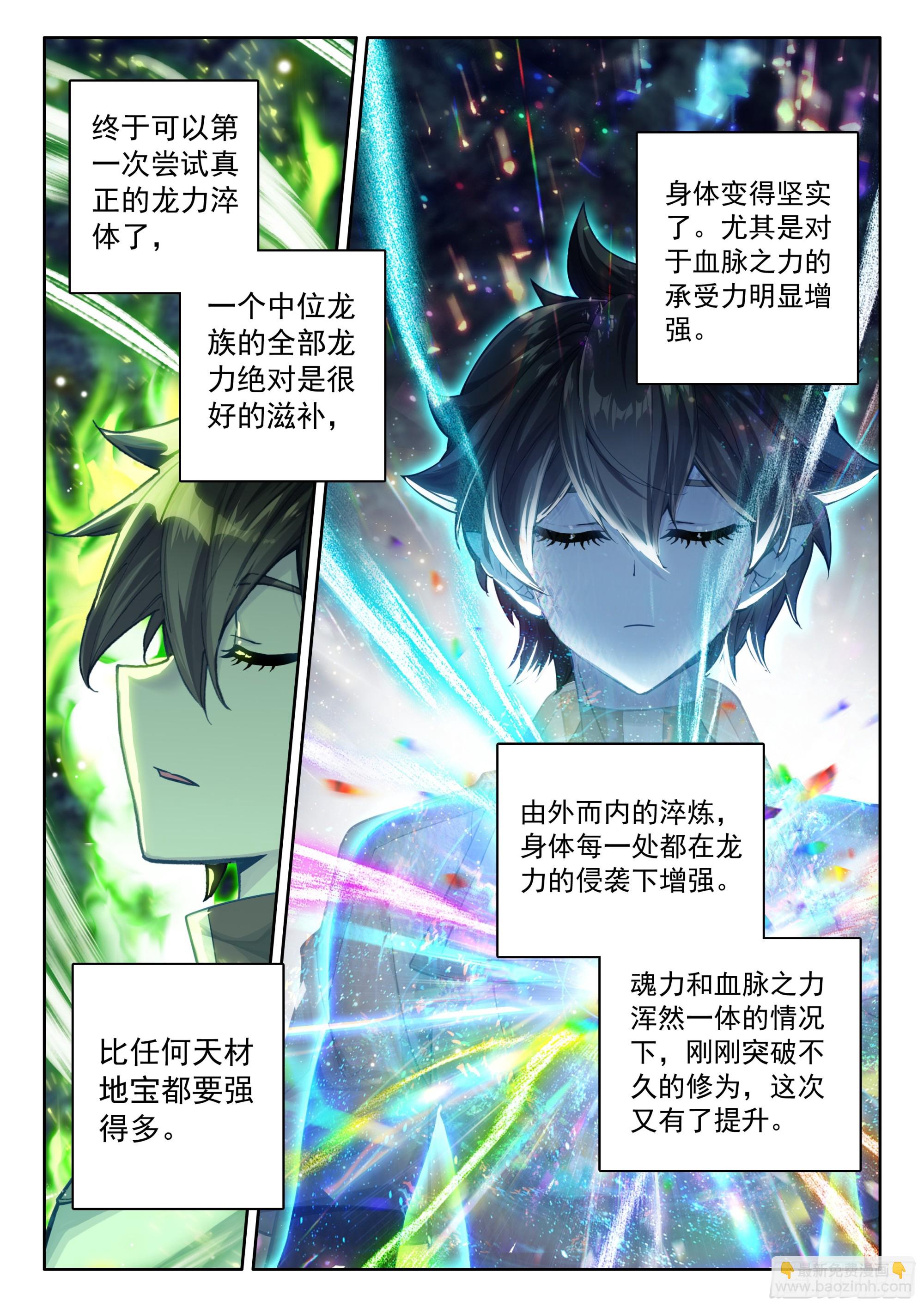 🍼斗罗大陆4终极斗罗 猎龙（下） 第10页