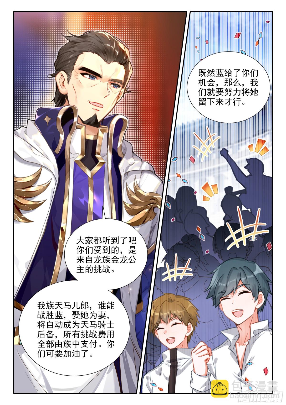 🍼斗罗大陆4终极斗罗 比武招亲 第13页