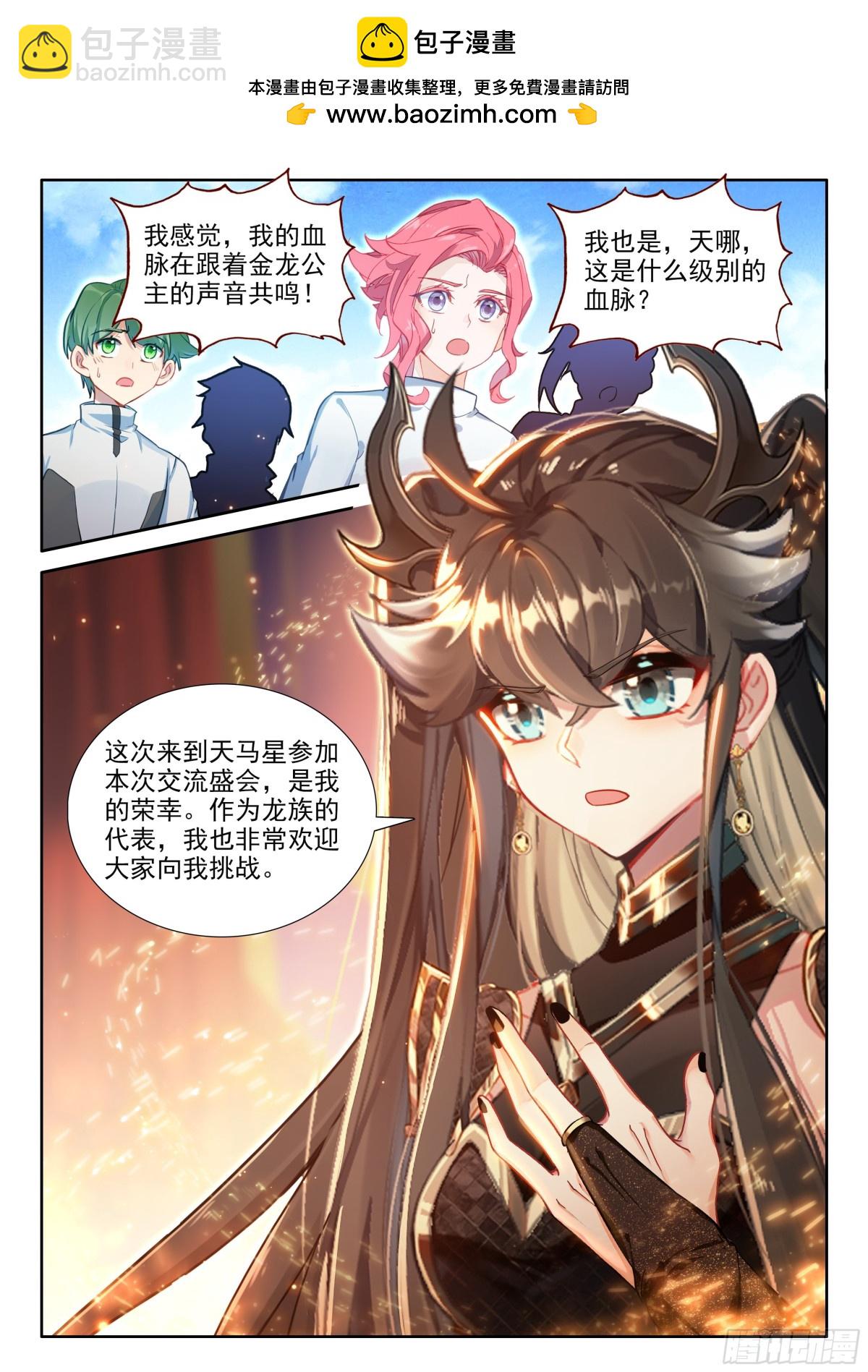 🍼斗罗大陆4终极斗罗 比武招亲 第2页