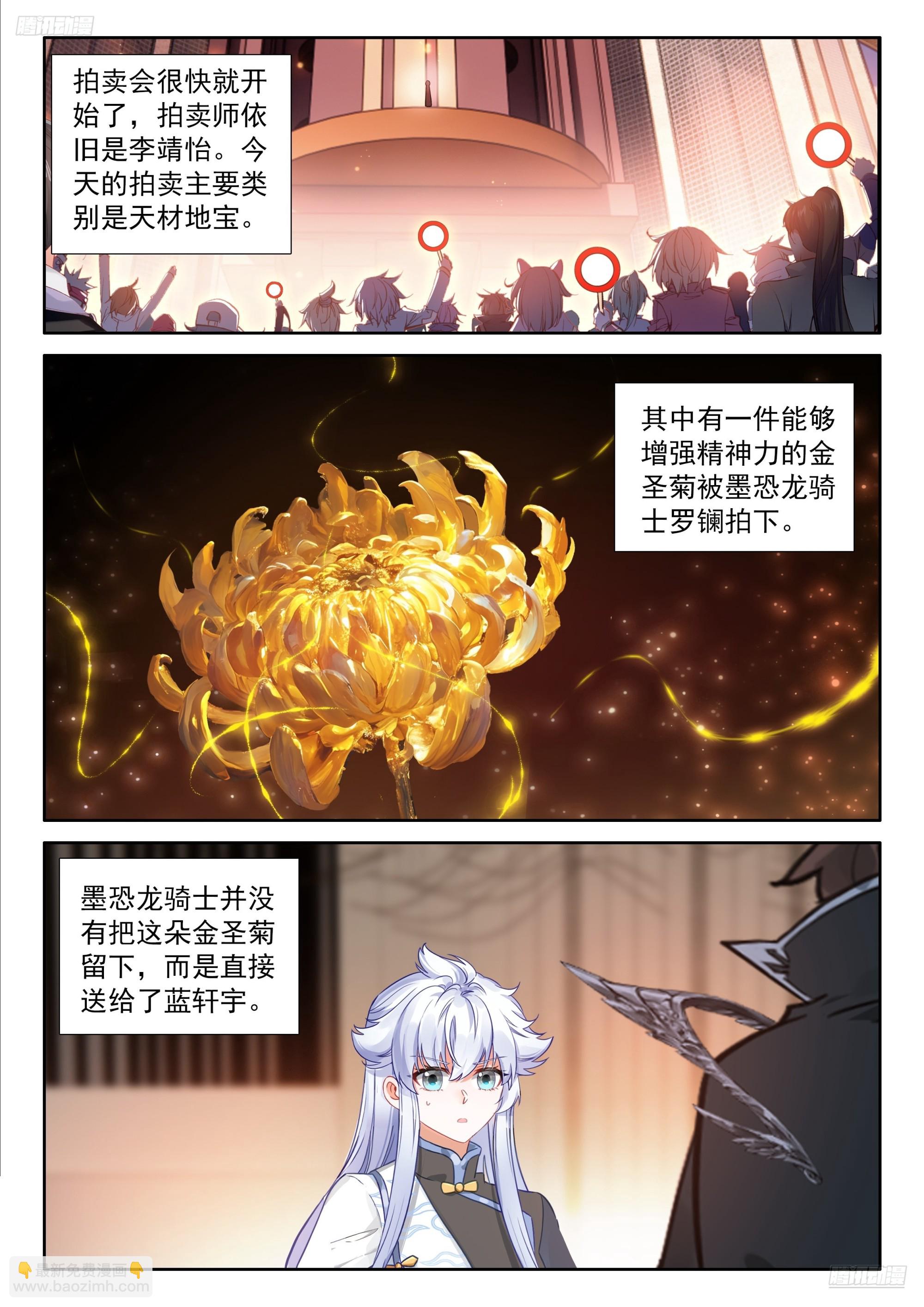 🍼斗罗大陆4终极斗罗 最后的拍卖开始 第12页