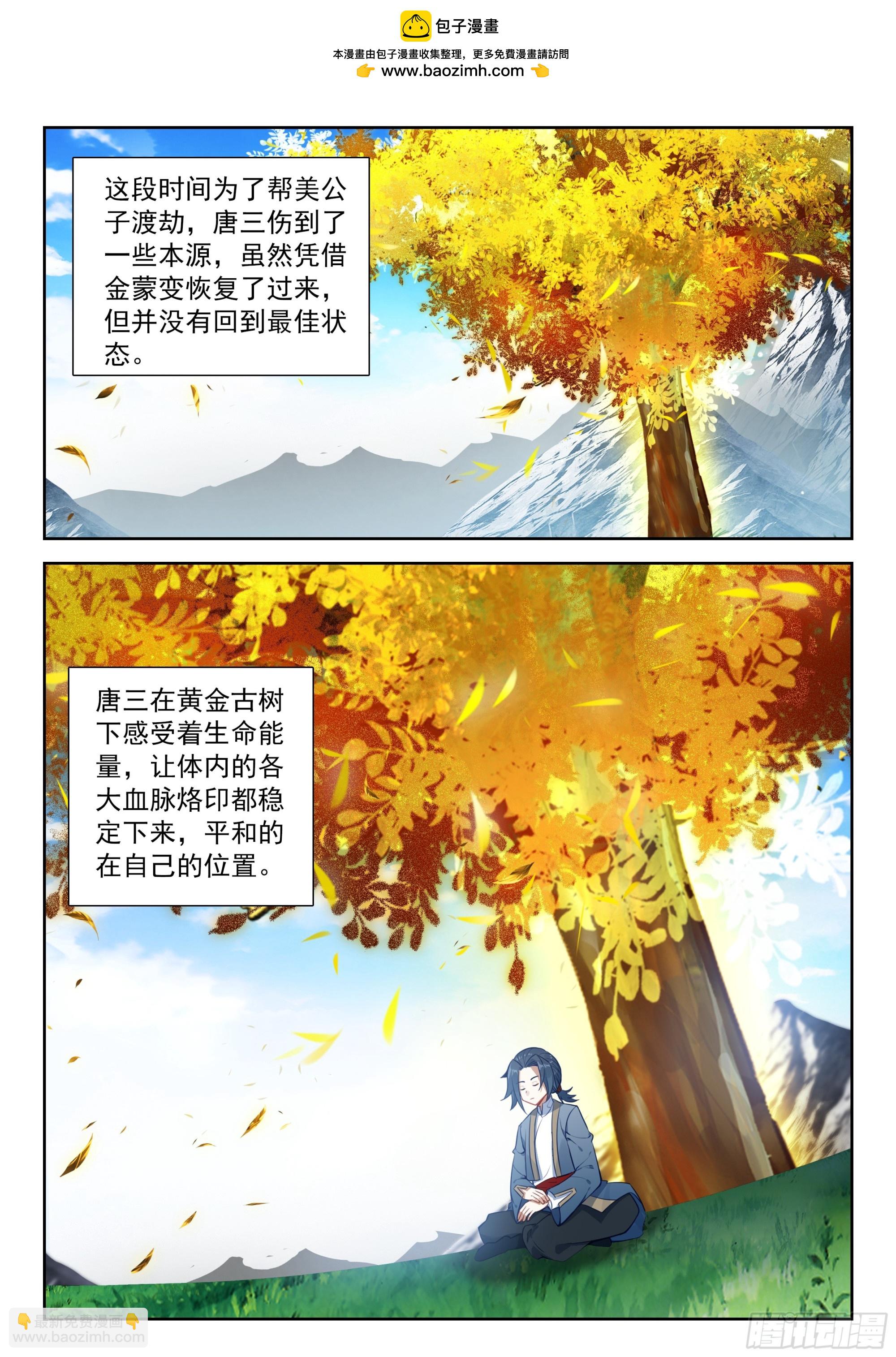 🍼斗罗大陆 5 重生唐三 251 陪你闭关 第2页