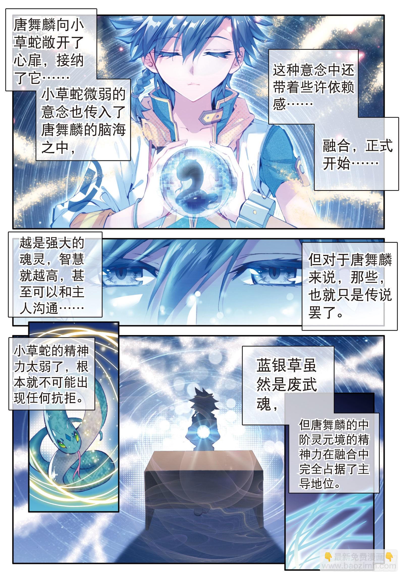 🍼斗罗大陆 第三部 龙王传说 11  融合魂灵 第5页