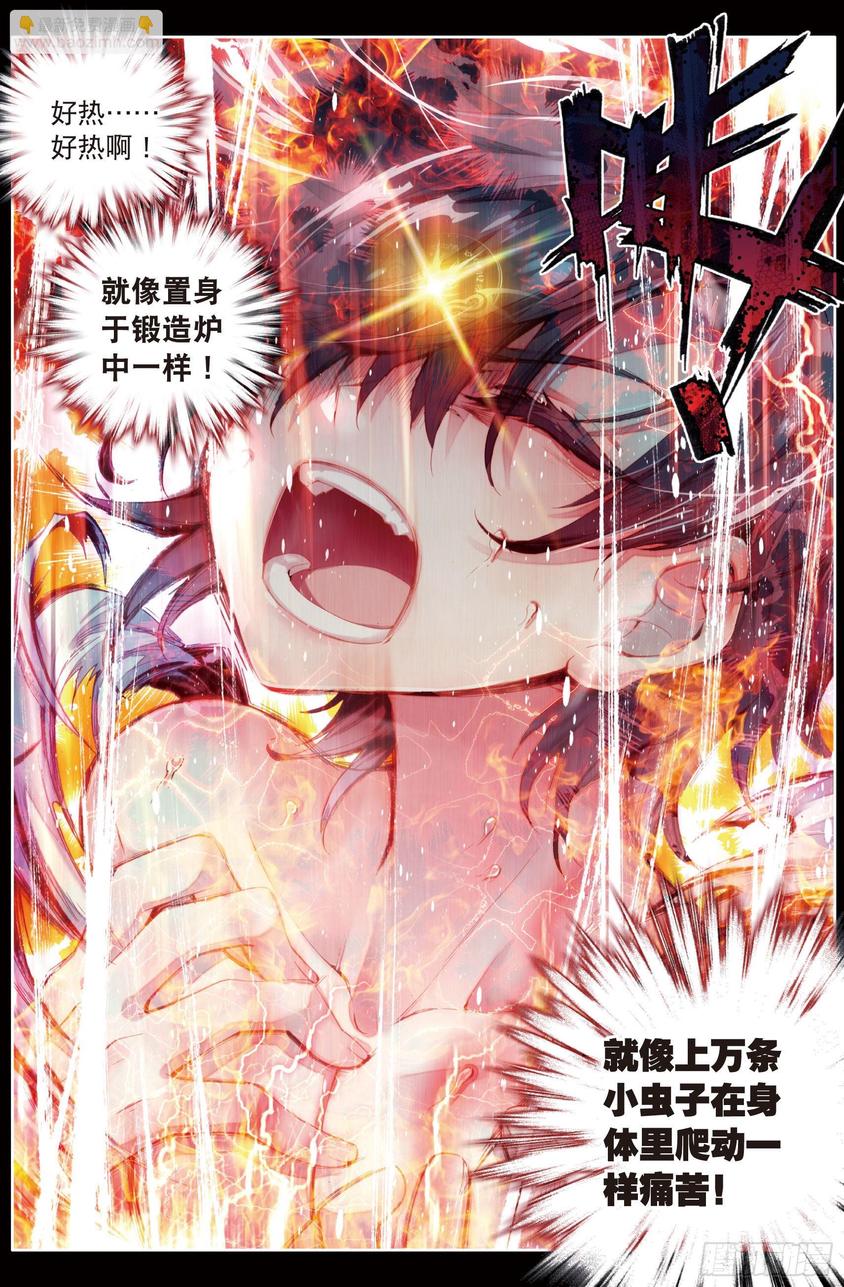 🍼斗罗大陆 第三部 龙王传说 11  融合魂灵 第8页