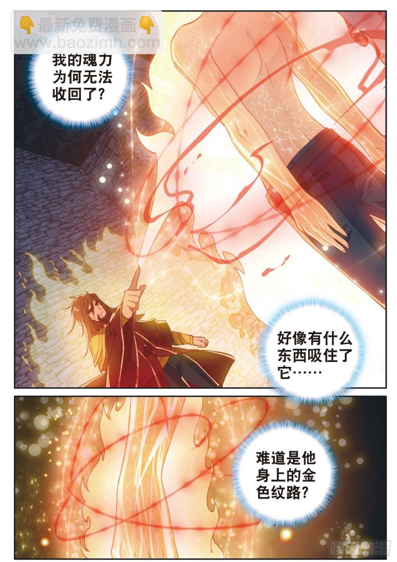 🍼斗罗大陆 第三部 龙王传说 167 吞噬魂力 第15页