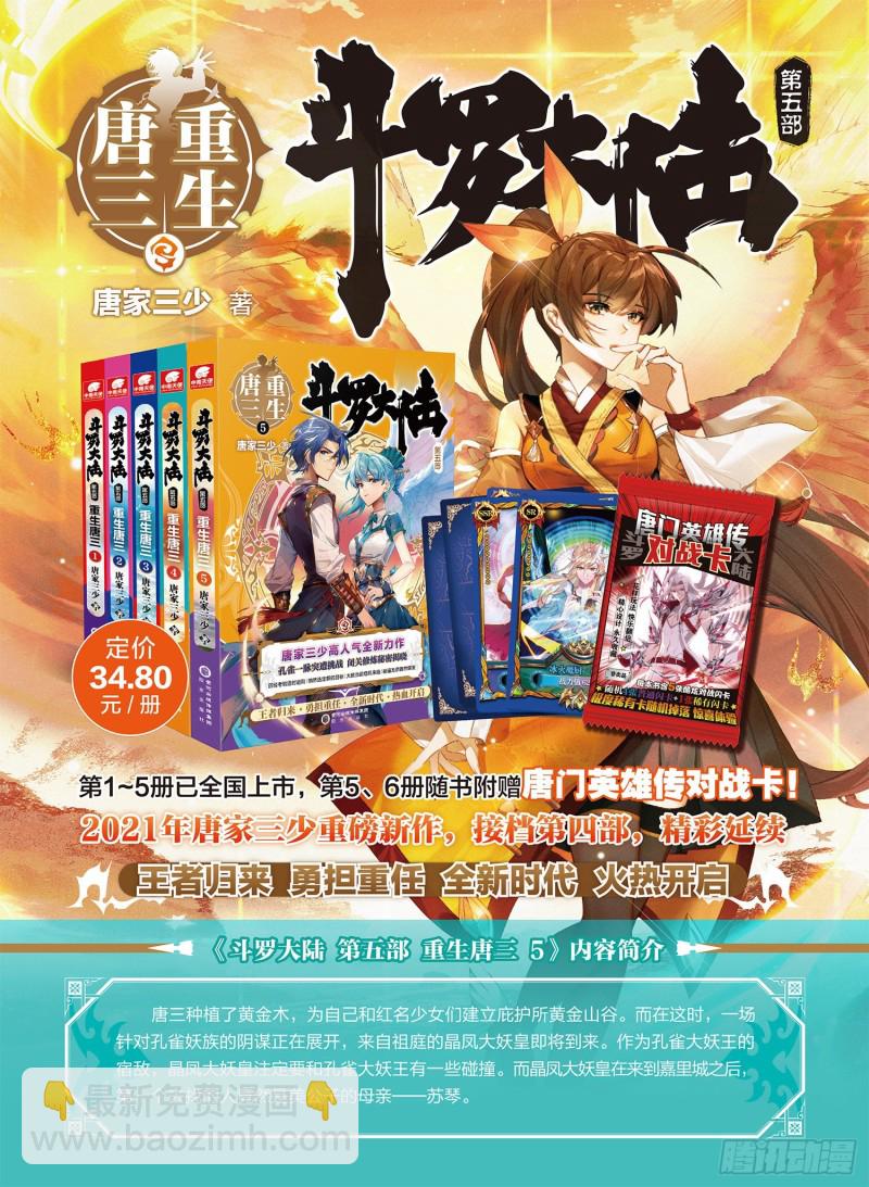 🍼斗罗大陆 第三部 龙王传说 215 入塔 第17页