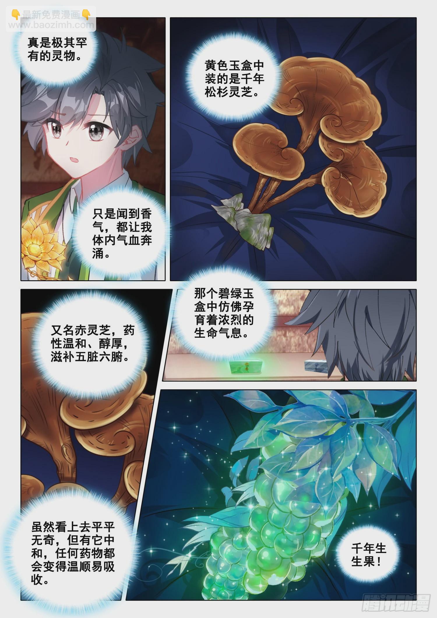 🍼斗罗大陆 第三部 龙王传说 276 四大灵物 第13页