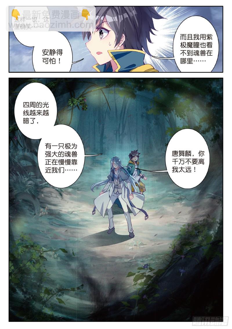 🍼斗罗大陆 第三部 龙王传说 85  舞长空的魂技 第11页
