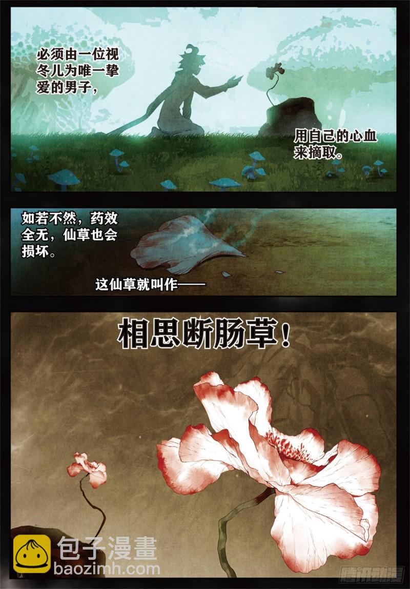 🍼斗罗大陆 II 绝世唐门 251 锦囊的真相 第12页