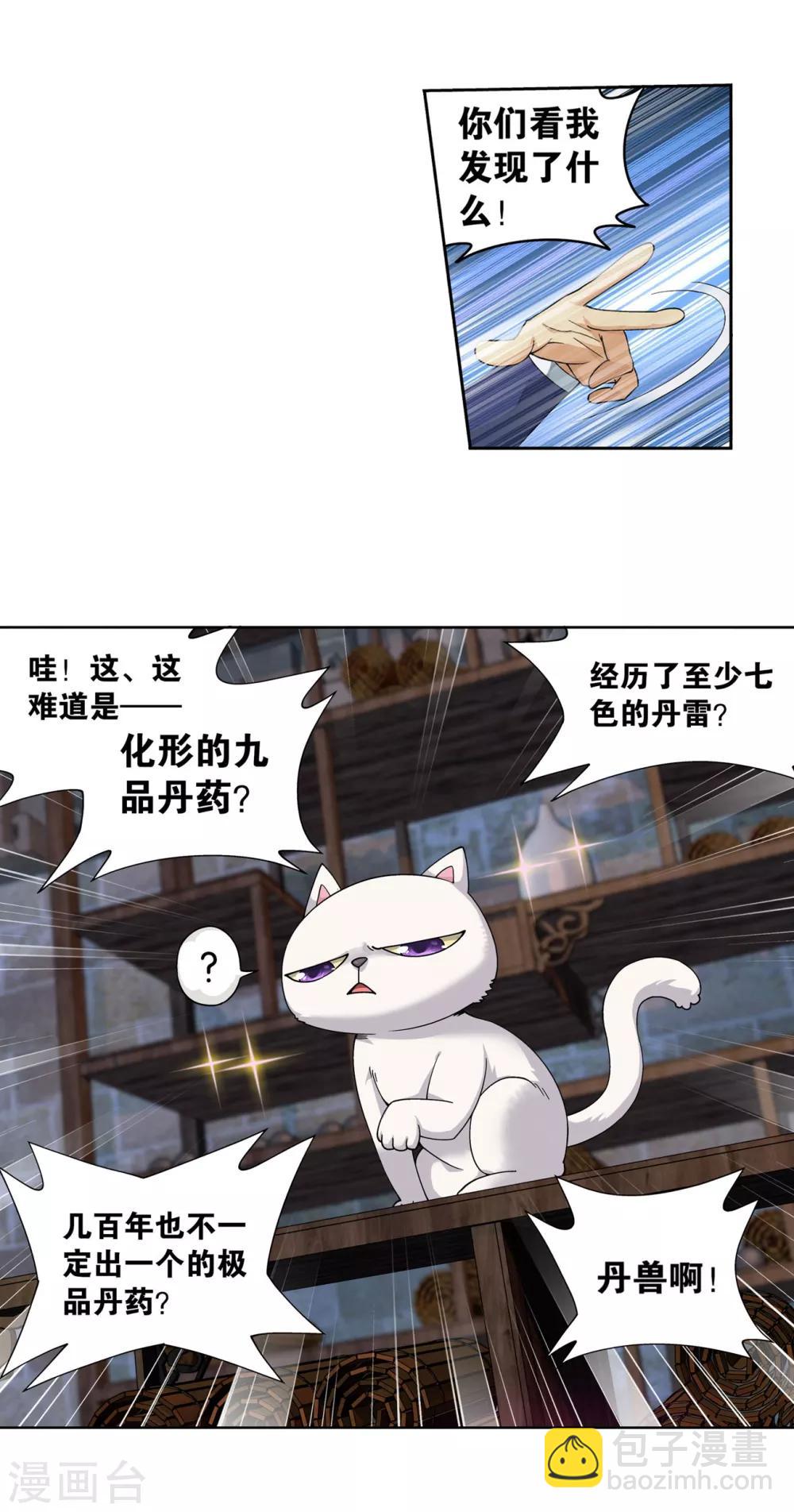 🍼斗破苍穹(旧) 第870话 灵猫 第10页