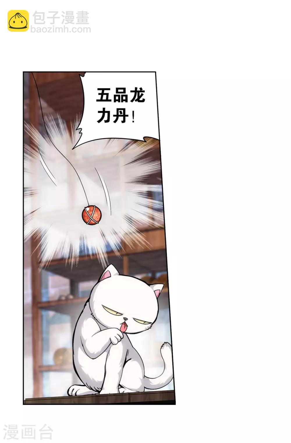 🍼斗破苍穹(旧) 第870话 灵猫 第18页