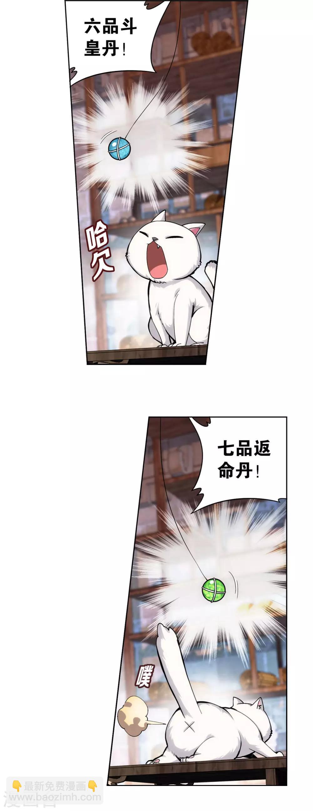 🍼斗破苍穹(旧) 第870话 灵猫 第19页