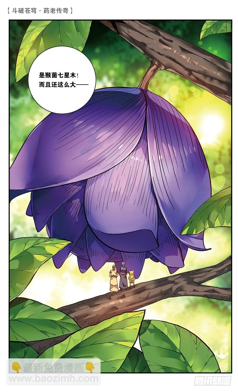 🍼斗破苍穹·药老传奇 【第八十六话】 深山迷途（中） 第5页