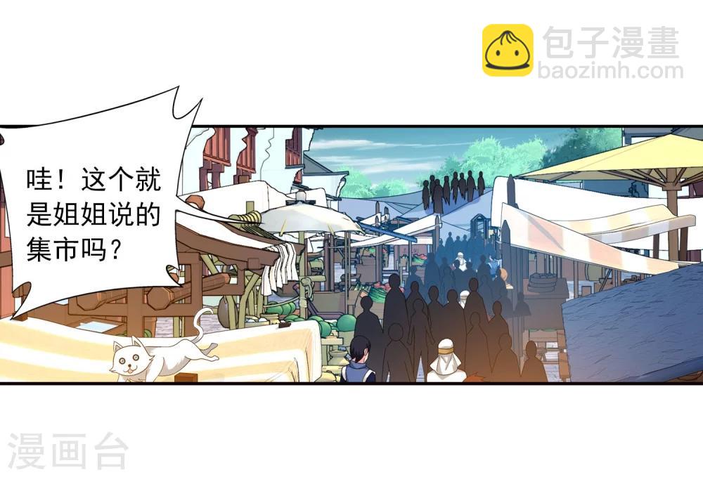 🍼斗破苍穹之大主宰 第160话 交易之地的寻宝 第15页